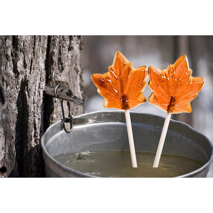 CanadaTrue Pure Maple Syrup Lollipops – Canadian Maple Leaf Candy – 100% Real Maple Syrup – 3 Packs (6 Lollipops Total) – Made in Canada – Authentic Sweet Treat, Natural Sugar, Great for Gifts & Souvenirs